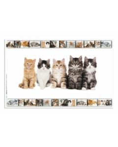 HERMA Podloga za sto 550x350 mm Cats - 05DM19379