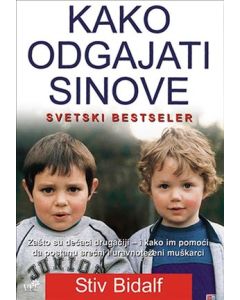 Kako odgajati sinove - 9788685639012