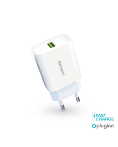Kućni punjač Pluginn PI-D48, 5V, 2.4A, 12W sa micro USB kablom beli CE - 206595-1