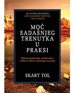Moć sadašnjeg trenutka u praksi - 9788677020767