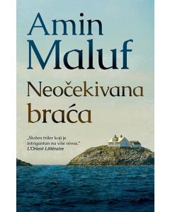 Neočekivana braća - 9788652143382