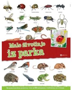 Panorama - Male životinje iz parka - 9788674784556