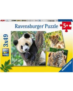 Ravensburger puzzle – Panda, tigar, lav - 3x49 delova