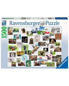 Ravensburger puzzle - Životinje - 1.500 delova - RA16711