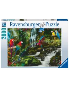 Ravensburger puzzle (slagalice) - Šareni papagaj 2000 delova - RA17111