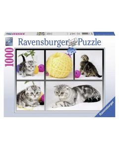 Ravensburger puzzle - znatiželjni mačići- 1000 delova