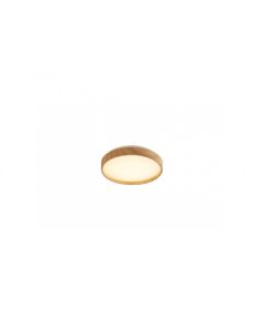 Rabalux Plafonjera Leana2 LED 12W bukva (71143) - RAS002733A00000