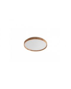 Rabalux Plafonjera Leana2 LED 24W bukva (71144) - RAS002734A00000