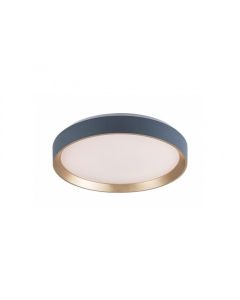 Rabalux Plafonjera Liatris2 LED 24W sivo (71185) - RAS002741A00000