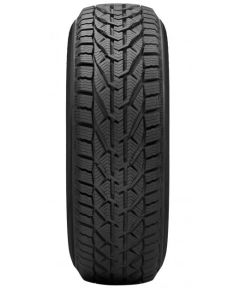 RIKEN Zimska guma PW 195/55 R15 85H SNOW RIK