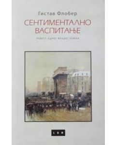 Sentimentalno vaspitanje: povest jednog mladog čoveka - 9788679581358