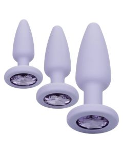 Set ljubičastih analnih dilda - 12016