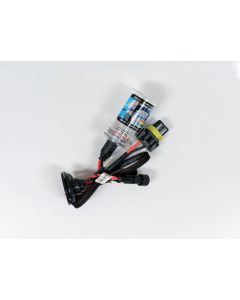 Sijalica za Xenon H11 6000k par - 22011-1-1-1
