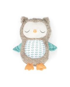 KIDS II Muzička plišana igračka za bebe Ingenuity Nally the owl - SKU12477