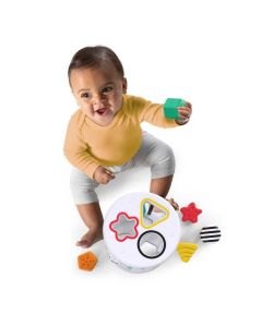 KIDS II Baby Einstein  Edukativna igračka - Sorter zen & Cal’s Plyground - SKU12493