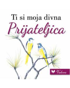 Ti si moja divna prijateljica - 9788662811035