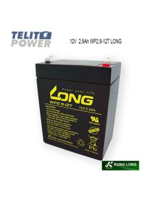 KUNG LONG 12V 2.9Ah WP2.9-12T LONG