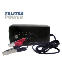FOCUS POWER Punjač akumulatora 3PA5015R 13.8V 3.3A za akumulatore od 12V sa klemama