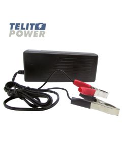 FOCUS POWER Punjač akumulatora A100-12 od 14.8V 4.8A sa klemama