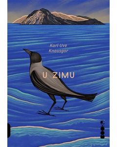 U zimu - 9788680830551