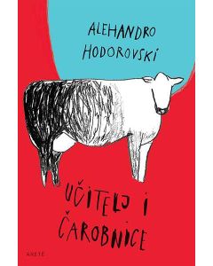 Učitelj i čarobnice - 9788680426792