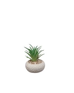 DEKOR DOM Cvet u saksiji - SUCCULENT CUBE 321 - N44 - 024276