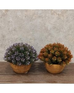 DEKOR DOM Cvet u saksiji - SUCCULENT HX0461 - N38 - 024265