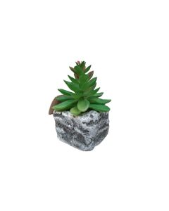 DEKOR DOM Cvet u saksiji - SUCCULENT ROUND 123 - N44 - 024274