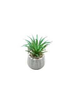 DEKOR DOM Cvet u saksiji - SUCCULENT ROUND 456 - N44 - 024275