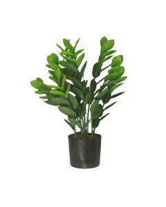 DEKOR DOM Cvet u saksiji - MONEY GRASS 9pcs - N60