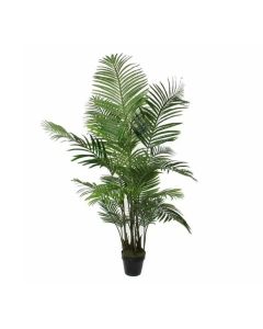 DEKOR DOM Drvo u saksiji ARECA PALM 160cm 1026427 - EDL