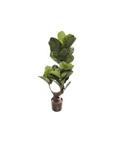 DEKOR DOM Cvet u saksiji - FICUS A1023 - N60