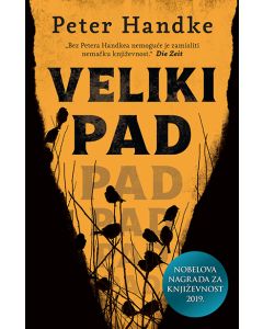 Veliki pad - 9788652133819
