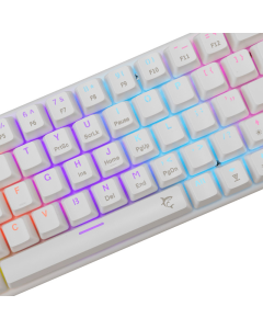 White Shark TASTATURA GK 002221 WAKIZASHI-2 White, MEHANIcKA - US