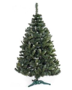 Zelena jela sa belim vrhom  120 cm