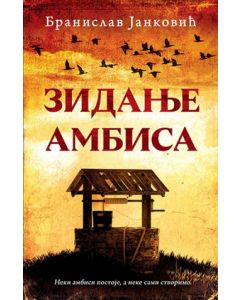 Zidanje ambisa - 9788652140084