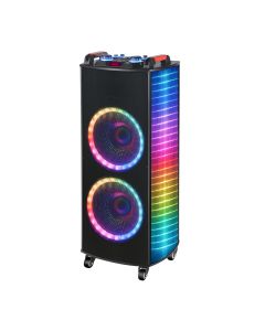 Zvučnik bluetooth NDR-1010S 100W 2*10 inca sa dva mikrofona crni