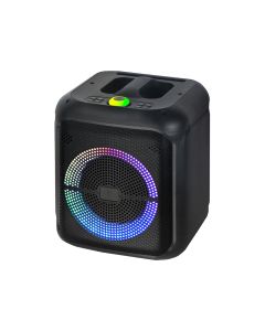 Zvučnik bluetooth NDR-2210 20W 10 inca sa dva mikrofona crni