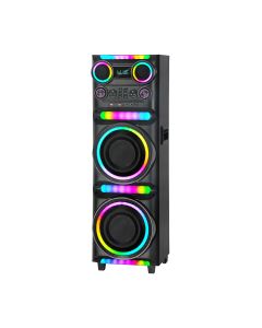 Bežični Bluetooth zvučnik NDR-M1104 60W 2*10 inca sa dva mikrofona crni