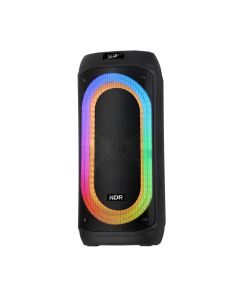 Bežični Bluetooth zvučnik NDR-818 60W 2*8 inca sa dva mikrofona crni