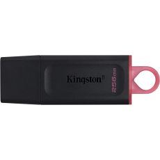 KINGSTON USB flash memorija 256GB USB3.2 DTX/256GB