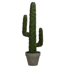 ENA Kaktus veštački 18x12x51 cm