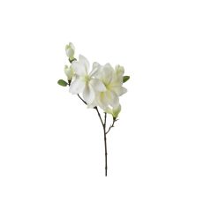 ATMOSPHERA Dekorativni cvet magnolia 25x13x79cm pes/plastika/metal bela