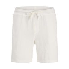 JACK & JONES Muški šorts aiden