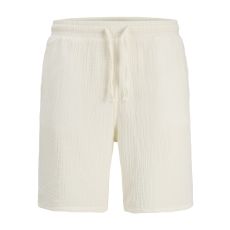 JACK & JONES Muški šorts aiden