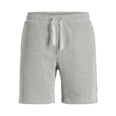 JACK & JONES Muški šorts karl