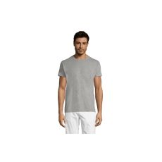 REGENT unisex majica sa kratkim rukavima - grey melange