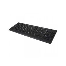LENOVO Tastatura 300 US GX30M39655