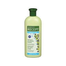 SUBRINA RECEPT Šampon za kosu Probiotik care, 400 ml