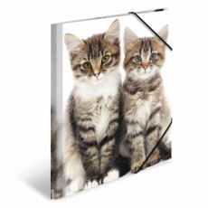 HERMA Fascikla PP sa gumicom - Cats, 240 x 320 x 15 mm
